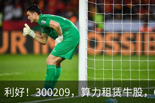 利好！300209，算力租赁牛股，Q3营收大增55倍
