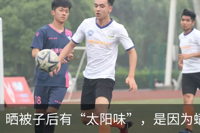 晒被子后有“太阳味”，是因为螨虫被烤焦了？科学家：太阳的功劳