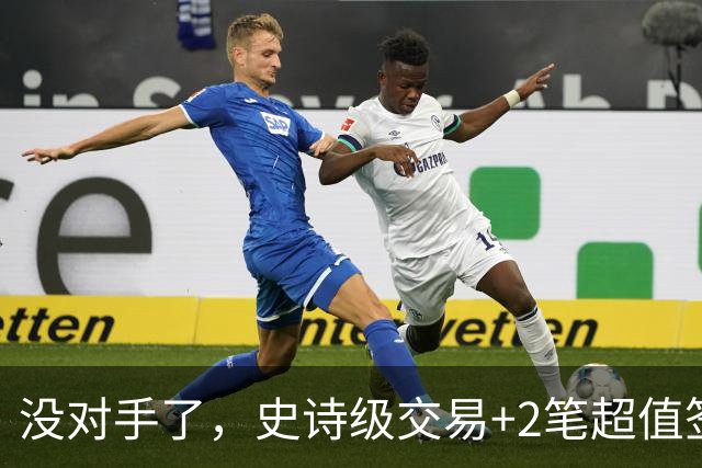 没对手了，史诗级交易+2笔超值签约，森林狼成了NBA最被低估的球队